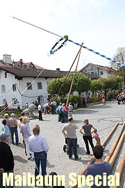 Maibaum Special“ - schon über 40 Maibaum Termine für 2010 (Foto: Martin Schmitz)